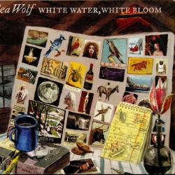 Spirit Horse del álbum 'White Water, White Bloom'