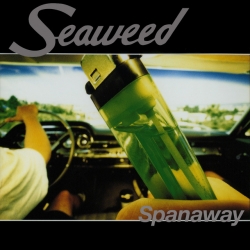 Free Druz Zone del álbum 'Spanaway'