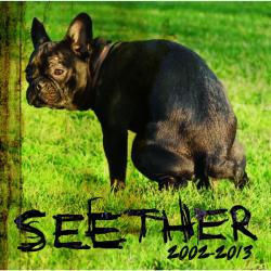 Blister del álbum 'Seether: 2002-2013'