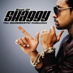 Strength Of A Woman del álbum 'Best of Shaggy: The Boombastic Collection'