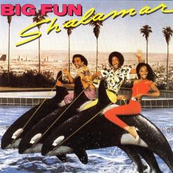 The Second Time Around del álbum 'Big Fun'