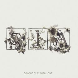 Sea shells del álbum 'Colour the Small One'