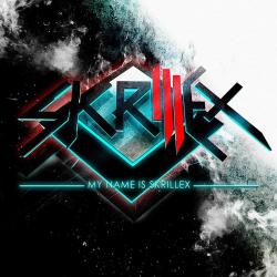 Whit you friends del álbum 'My Name Is Skrillex'