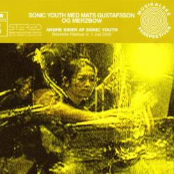 SYR 8: Andre Sider af Sonic Youth