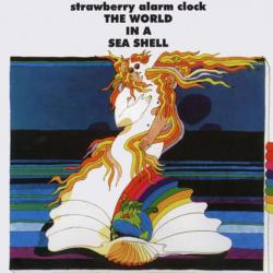 The World in a Sea Shell