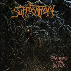 Suspended In Tribulation del álbum 'Pierced From Within'
