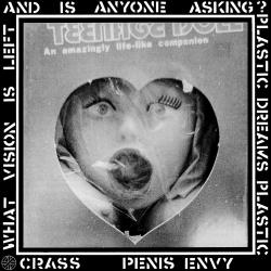 Poison In A Pretty Pill del álbum 'Penis Envy'