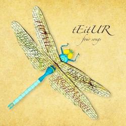 Poetry And Aeroplanes de Teitur