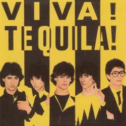 Necesito un amor del álbum 'Viva Tequila'
