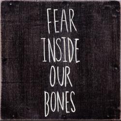 The florida sun del álbum 'Fear Inside Our Bones'