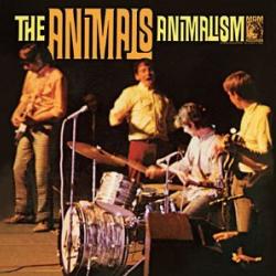San Francisco Nights del álbum 'Animalism'