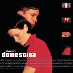 The Night I Lost The Will To Fight del álbum 'Domestica'