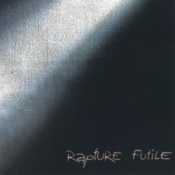 The Fall del álbum 'Futile'