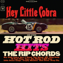 Hey Little Cobra del álbum 'Hey Little Cobra'