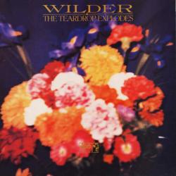 Wilder 