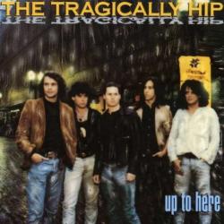 Trickle Down del álbum 'Up to Here'