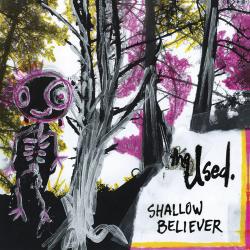 Into my web del álbum 'Shallow Believer'
