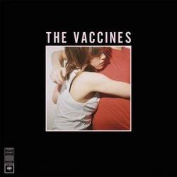 Norgaard del álbum 'What Did You Expect from the Vaccines?'