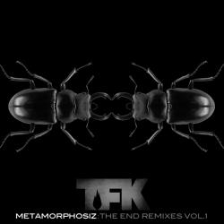 Metamorphosiz: The End Remixes, Vol. 1