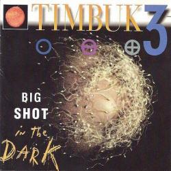 Big Shot in the Dark