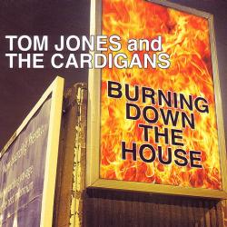 Burning Down The House - Single