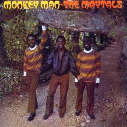 Monkey Man / From The Roots