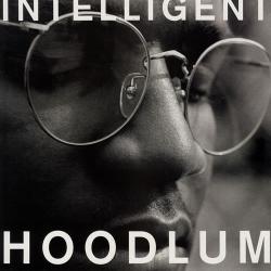 Intelligent Hoodlum