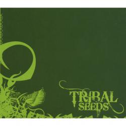 Dark Angel del álbum 'Tribal Seeds'