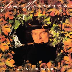 A New Kind Of Man del álbum 'A Sense of Wonder'