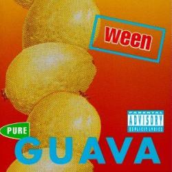 Hey Fat Boy (asshole) del álbum 'Pure Guava'