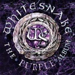 Lay Down Stay Down del álbum 'The Purple Album'