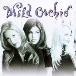 My Tambourine del álbum 'Wild Orchid'