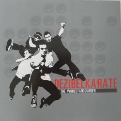 Dezibelkarate