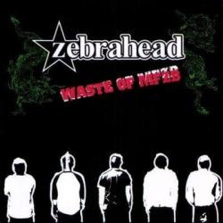 Burn the school down de Zebrahead