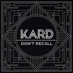 K.A.R.D Project, Vol. 2