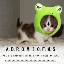 Cute del álbum 'A.D.R.O.M.I.C.F.M.S.'