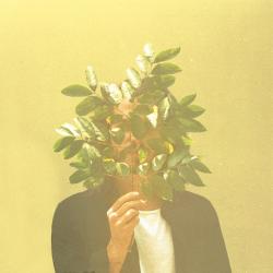 Why Are There Boundaries del álbum 'French Kiwi Juice'