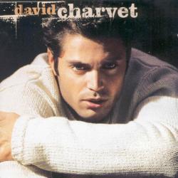 Should I Leave del álbum 'David Charvet'