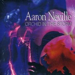Pledging My Love del álbum 'Orchid in the Storm'
