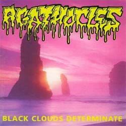 Hatebirth del álbum 'Black Clouds Determinate'