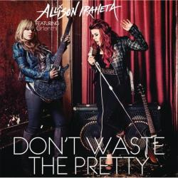 Don't Waste the Pretty - Single