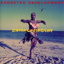 Fountain Of Youth del álbum 'Zingalamaduni'