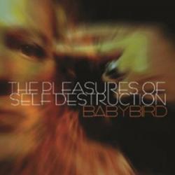 Song for the Functioning Alcoholic del álbum 'The Pleasures of Self Destruction'