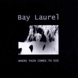 Pale Colours del álbum 'Where Pain Comes to Die'