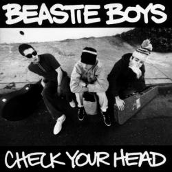 Dub The Mic del álbum 'Check Your Head'