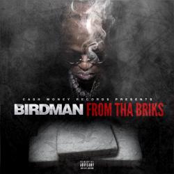 Cash Money Records Presents: From Tha Briks
