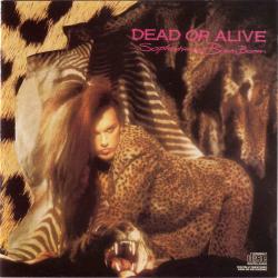 That's The Way (I Like It) de Dead Or Alive