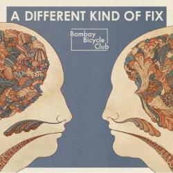 Shuffle del álbum 'A Different Kind of Fix'