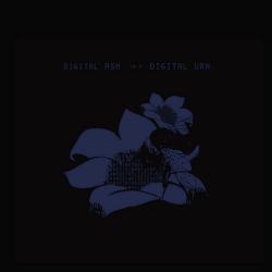 Arc of Time del álbum 'Digital Ash in a Digital Urn'