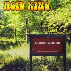Electric Machine del álbum 'Busse Woods'
